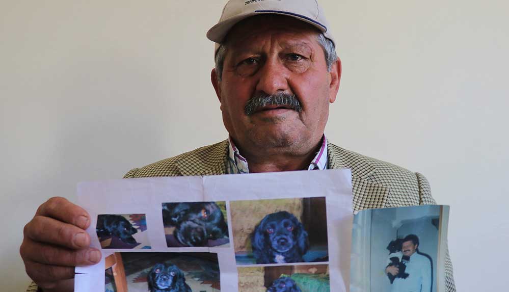 Ölen köpeği 'Fındık'a sevgisini onlarca sokak hayvanını besleyerek yaşatıyor