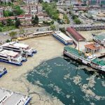 Prof. Dr. Özdelice_ Deniz salyaları artık Marmara Denizi’nin son çığlıkları