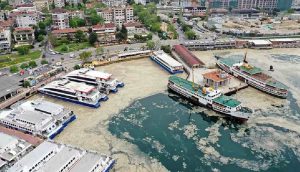 Prof. Dr. Özdelice: Deniz salyaları artık Marmara Denizi’nin son çığlıkları