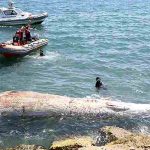 Sahile 8 metrelik oluklu balina vurdu 11 Sahile 8 metrelik oluklu balina vurdu