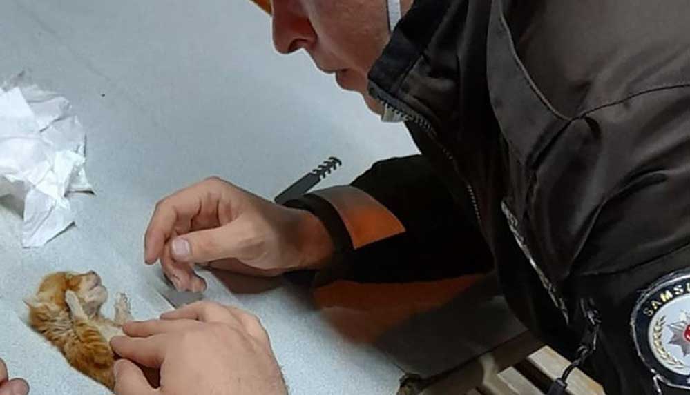 Samsun'da-kalbi-duran-kedi-yavrusunu-suni-teneffüs-yapan-mahalle-bekçisi-kurtardı