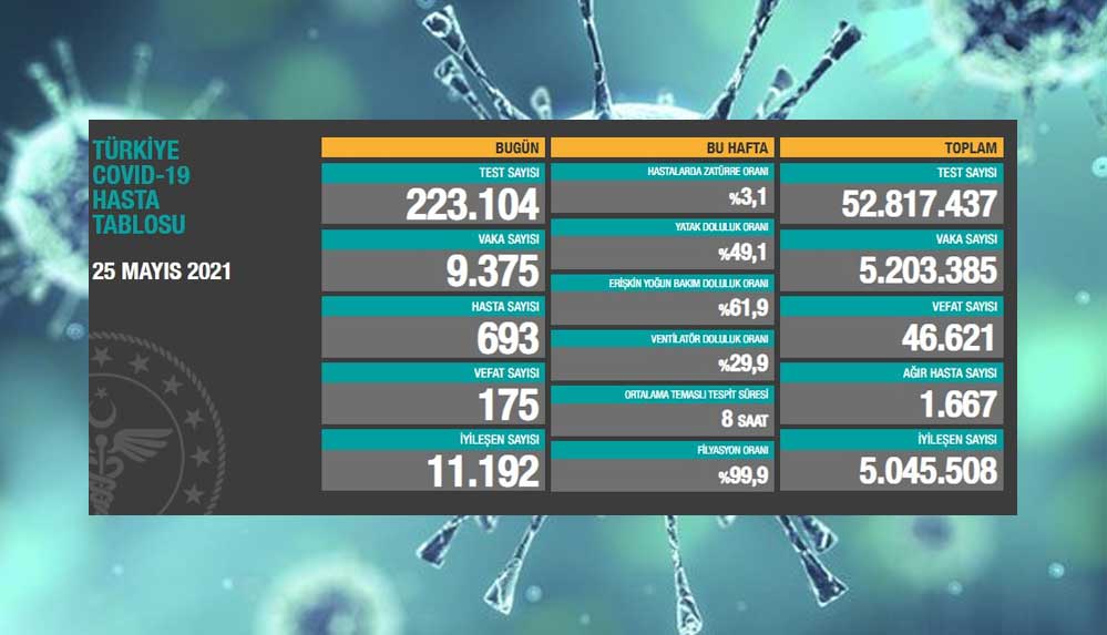 Türkiye'nin 25 Mayıs koronavirüs tablosu açıklandı: Vaka sayısında büyük artış! 4 Türkiye'nin-25-Mayıs-koronavirüs-tablosu-açıklandı--Vaka-sayısında-büyük-artış!