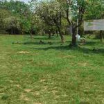 Validebağ Korusu rant ve talana açılıyor_ 500 araçlık otopark