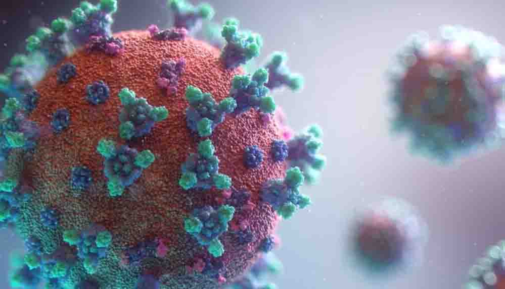 Yeni antikor çalışması Hayat boyu sürme potansiyeline sahip