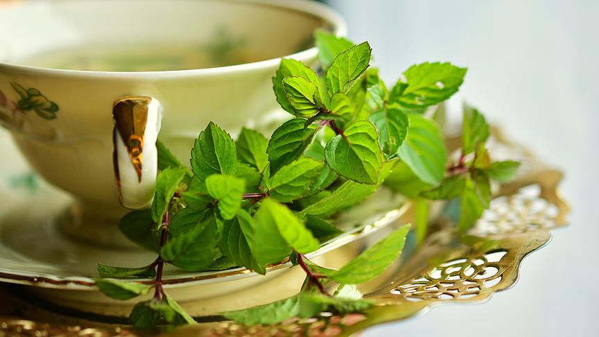 Yeşil çayın faydaları ve zararları nelerdir?