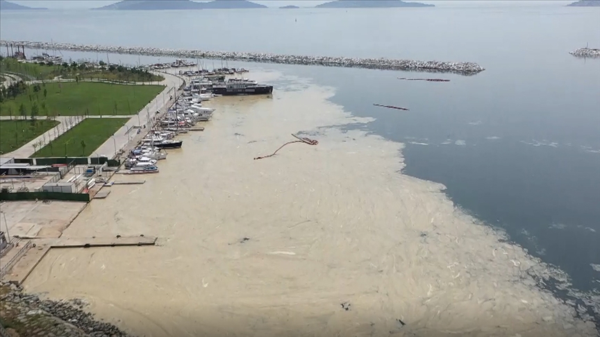 Prof. Dr. Özdelice: Deniz salyaları artık Marmara Denizi’nin son çığlıkları