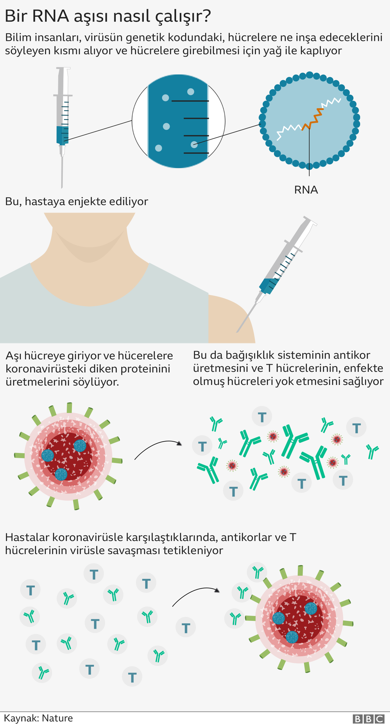 mRNA nedir? Koronavirüs aşılarından olan BioNTech aşısı ne kadar etkili?