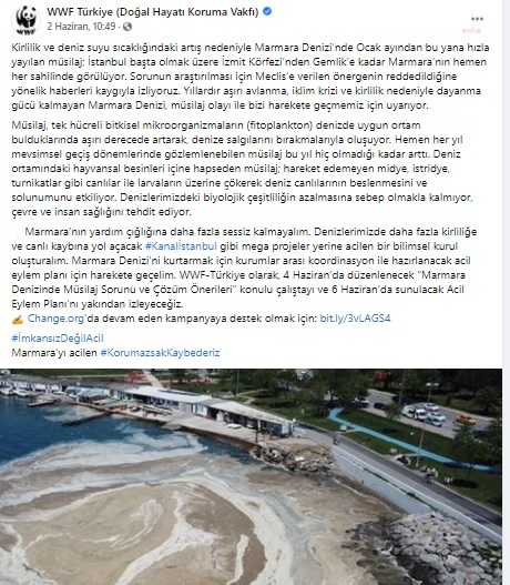 WWF Türkiye'nin 'müsilaj' kampanyasına destek büyüyor