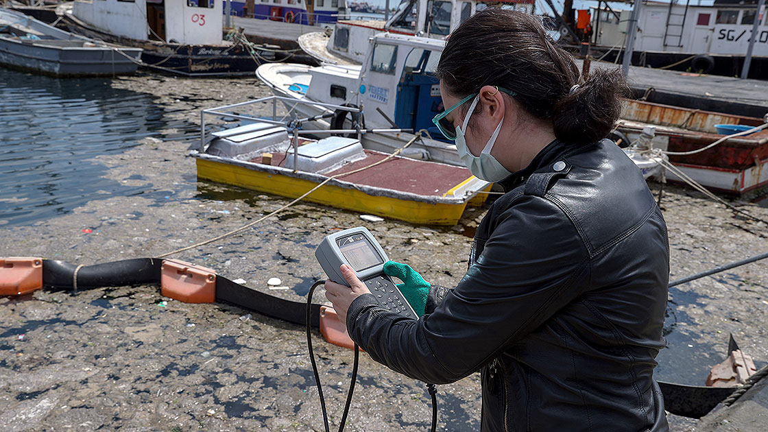 İstanbul Üniversitesi, müsilajı temizlemek için deniz bakterilerini kullanacak