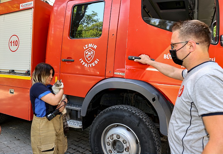 Yangında kurtarılan kediyi İzmir itfaiyesi sahiplendi