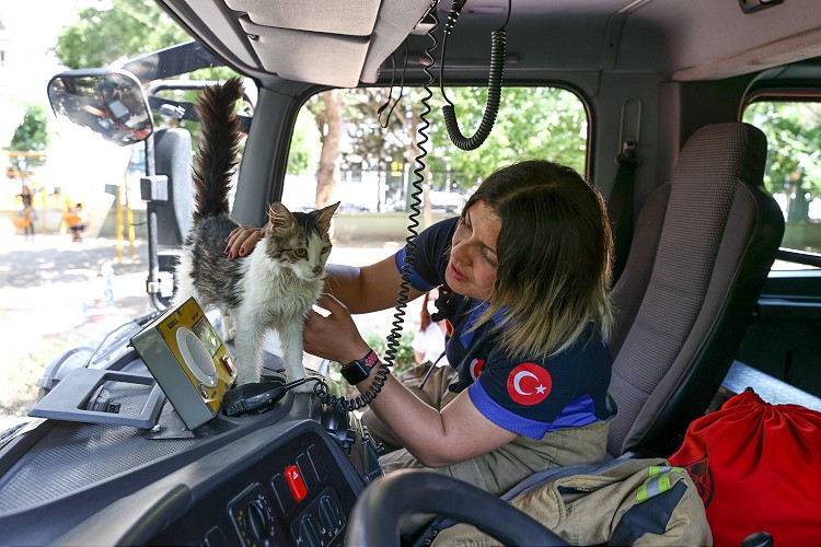 Yangında kurtarılan kediyi İzmir itfaiyesi sahiplendi