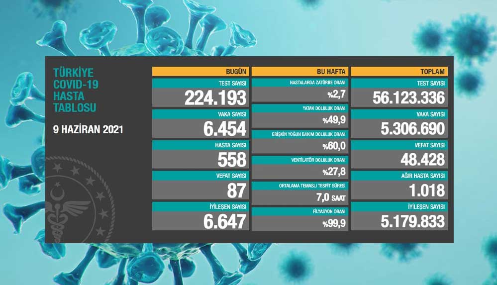 Türkiye'nin 9 Haziran koronavirüs tablosu açıklandı 4 9-haziran-koronavirüs-tablosu