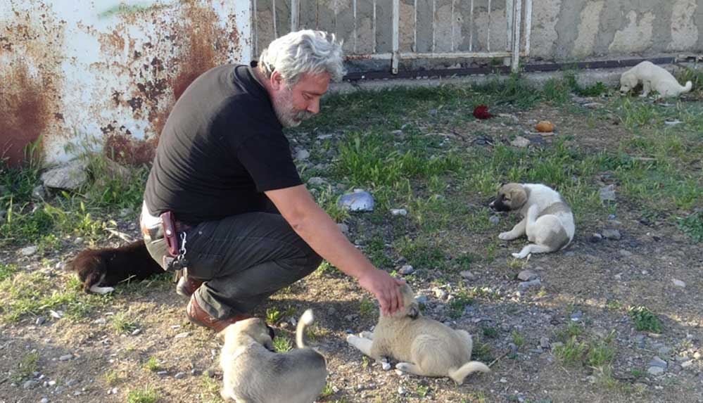 Afyonkarahisar'da-'can-dostları'nı-günde-iki-kez-besleyen-esnaf,-çevresindekilere-örnek-oluyor
