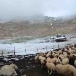 Antalya'nın Kaş ilçesine kar yağdı