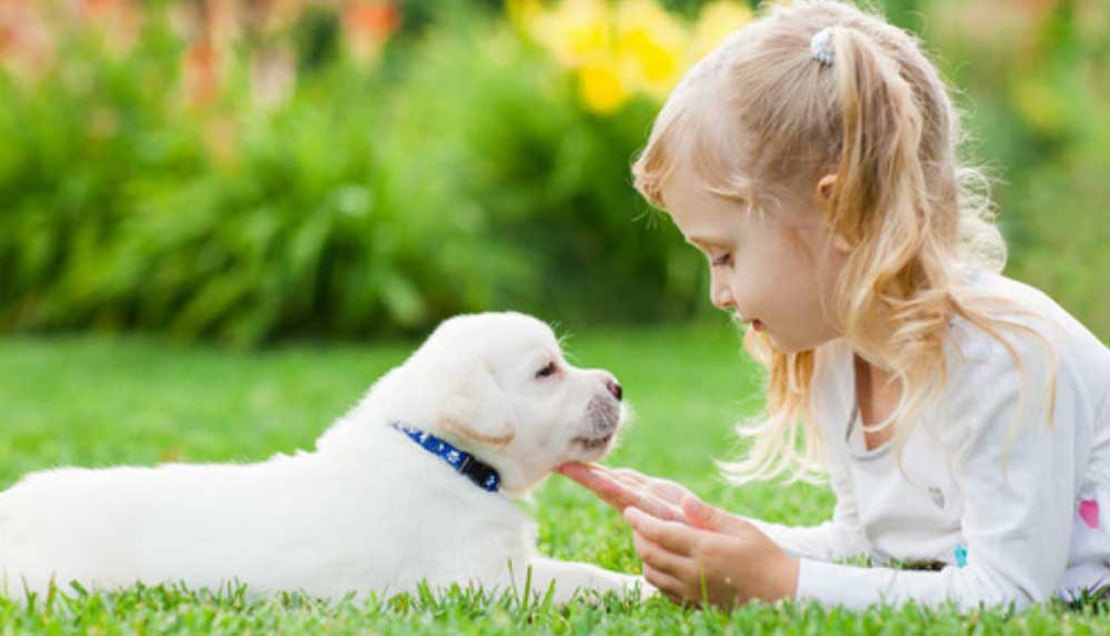 Araştırma--Köpekler-doğdukları-andan-itibaren-insanları-anlayabiliyor