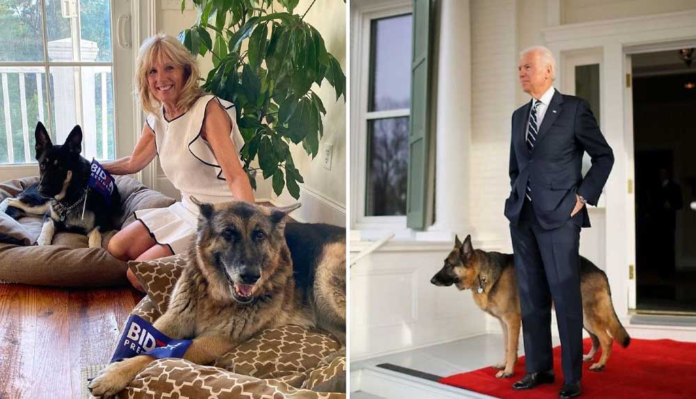 ABD Başkanı Biden'ın acı günü: "Champ" adlı köpeklerinin öldüğünü açıkladı