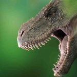 Bilim insanları, Avustralya'nın en büyük dinozor türünü keşfetti 4 Bilim insanları, Avustralya'nın en büyük dinozor türünü keşfetti