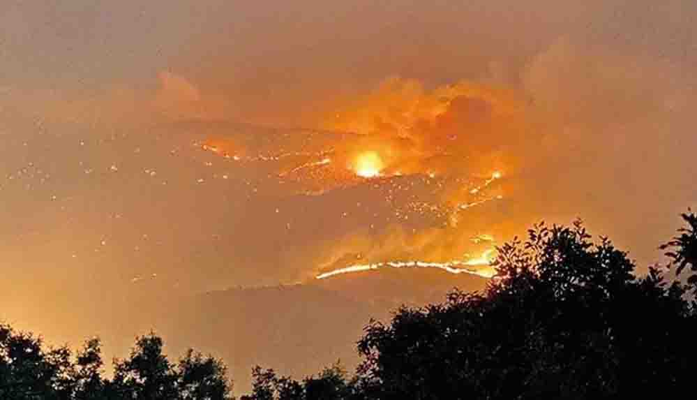 Bingöl 5 gündür yanıyor Aklınıza ne geliyorsa yandı