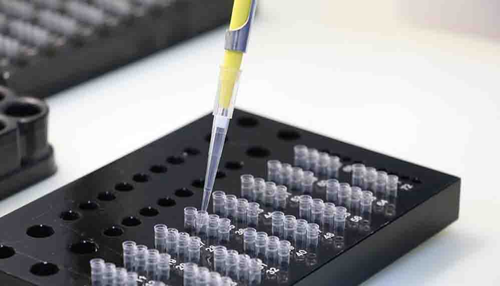 DSÖ koronavirüs varyantlarına Yunan alfabesindeki harflerin adını verdi