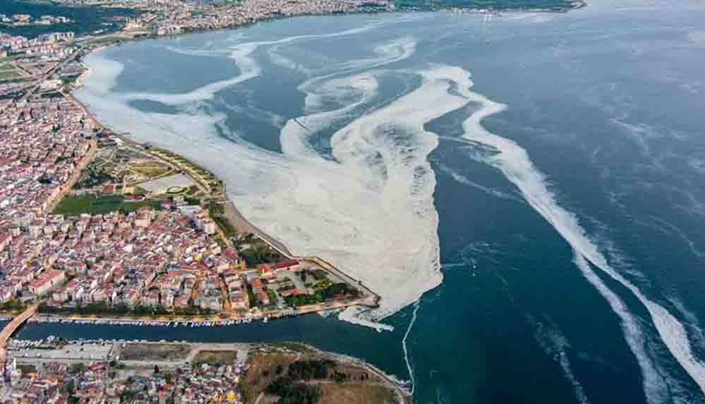 Deniz salyası, Ege Denizi'ne akmaya başladı