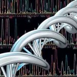 Erkekler, ölümsüzlüğü kadından daha çok istiyor