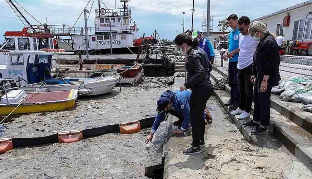 İstanbul Üniversitesi, müsilajı temizlemek için deniz bakterilerini kullanacak