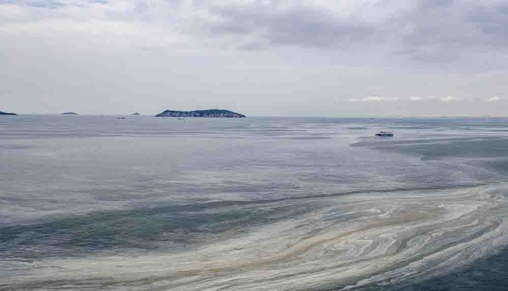 İstanbul'da müsilaj temizleme çalışmaları sürüyor