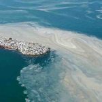 Marmara Denizi Eylem Planı Koordinasyon Kurulu kuruldu