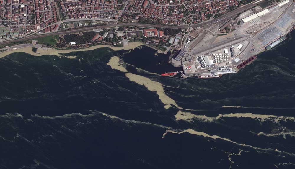 Marmara Denizi'ndeki müsilaj uzaydan böyle görüntülendi