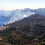 Marmaris Belediye Başkanı Oktay: Yanan alan imara açılmayacak 7 Marmaris Belediye Başkanı Oktay Yanan alan imara açılmayacak