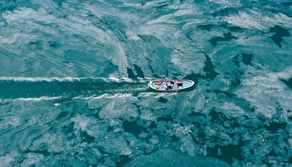 Müsilaj-'ekmeğini'-denizden-çıkaranları-da-olumsuz-etkiledi