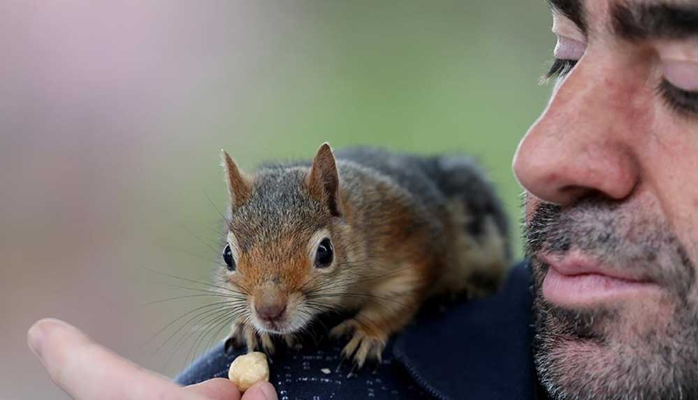 Omzunda 'baba yadigarı' sincapla İstanbul'u geziyor 5 Omzunda-'baba-yadigarı'-sincapla-İstanbul'u-geziyor