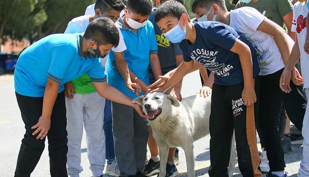 Sığındığı-okul-yuvası-olan-'Cengo'-kademeli-normalleşme-sonrası-öğrencilerle-buluştu