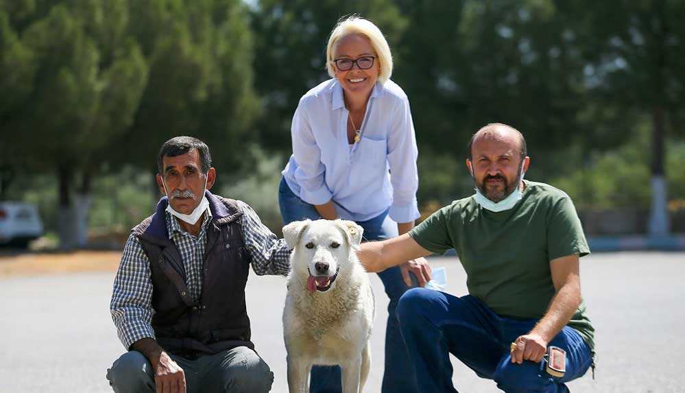 Sığındığı okul yuvası olan 'Cengo' kademeli normalleşme sonrası öğrencilerle buluştu