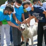 Sığındığı-okul-yuvası-olan-'Cengo'-kademeli-normalleşme-sonrası-öğrencilerle-buluştu