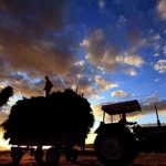 Türkiye'de çiftçi sayısı son 12 yılda yüzde 48 azaldı 9 Türkiye'de çiftçi sayısı son 12 yılda yüzde 48 azaldı