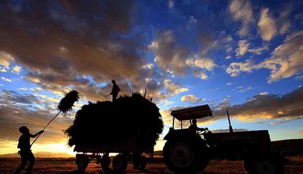Türkiye'de çiftçi sayısı son 12 yılda yüzde 48 azaldı
