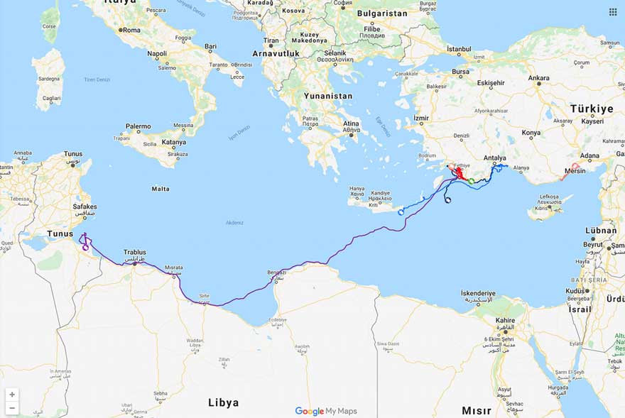 Uydudan izlenen caretta caretta 296 günde Antalya'dan Tunus'a ulaştı