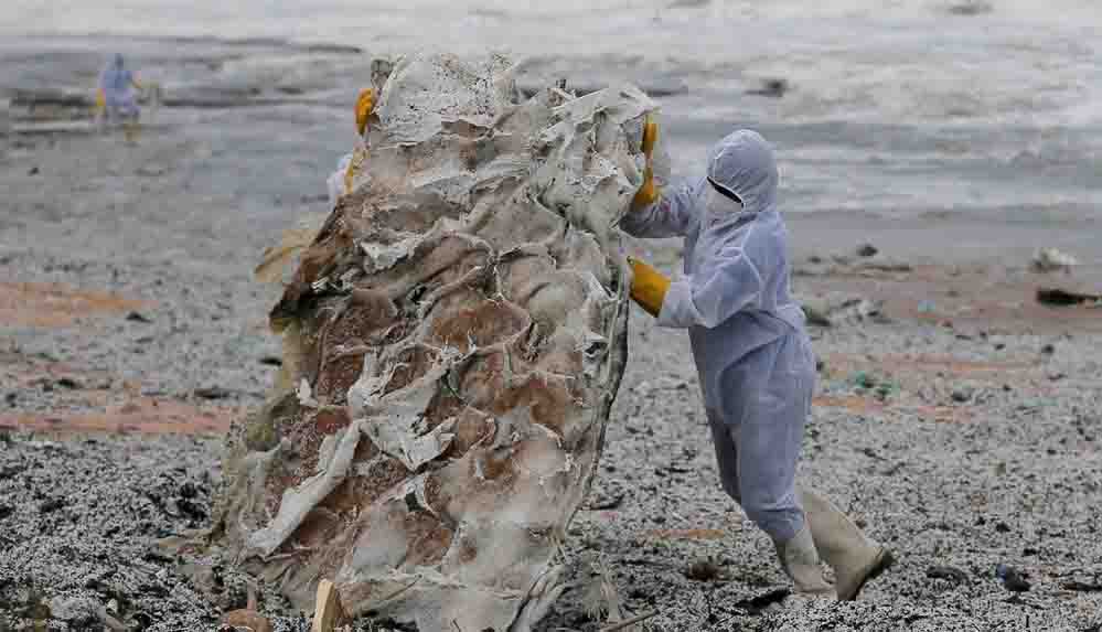 Sri Lanka sahilleri plastik kar örtüsüyle kaplandı