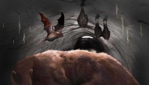 100 bin yıl önce yaşamış dev vampir yarasanın kalıntıları keşfedildi