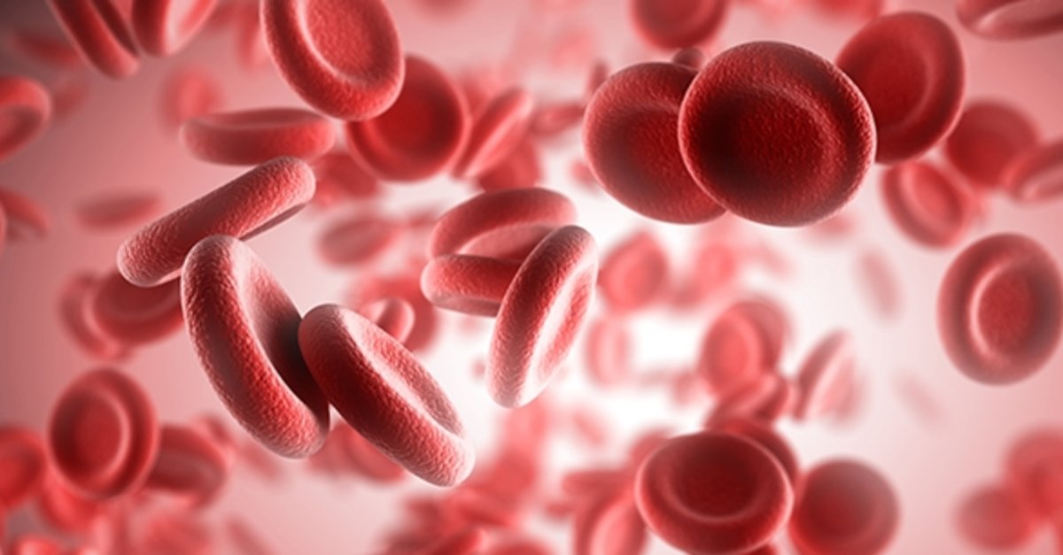 Kansızlık neden olur? Kansızlık belirtileri nelerdir? Kansızlık hangi hastalıklara yol açar? Anemi tedavi edilmezse ne olur?