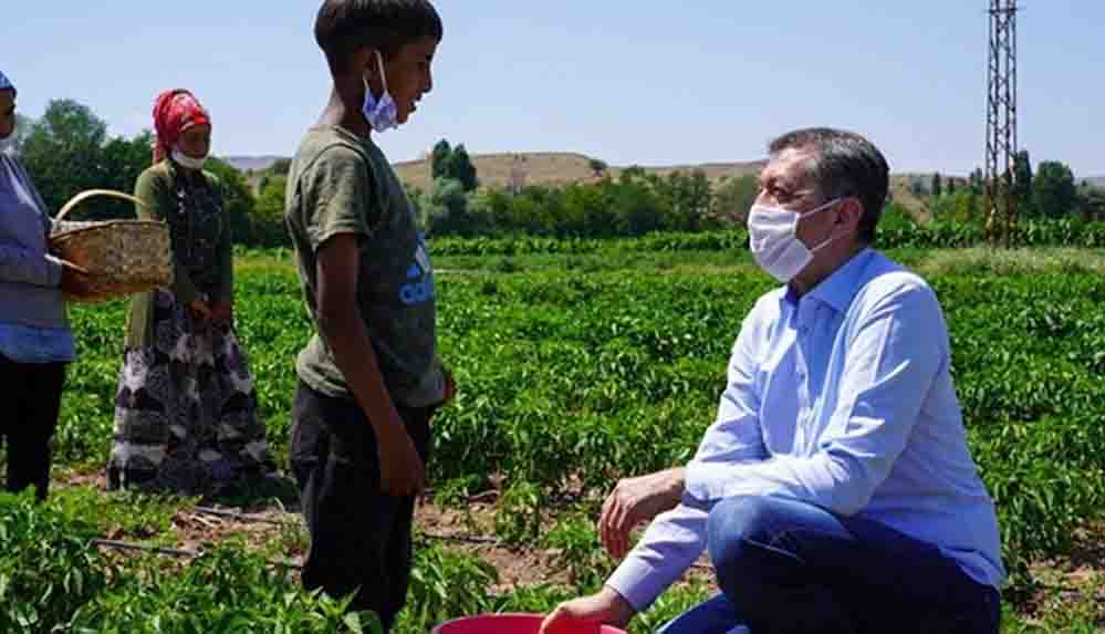 16 bin öğrenci mevsimlik işçilerin çocuğu