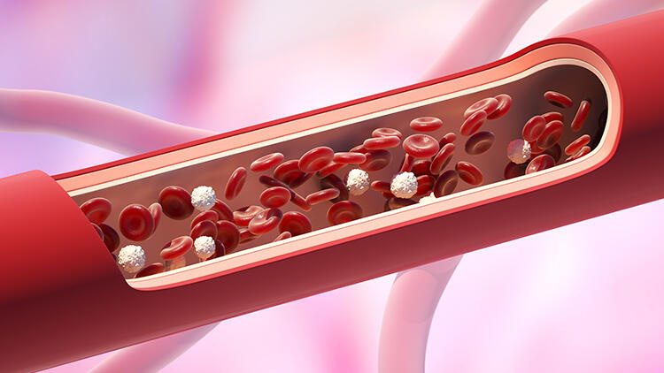Kansızlık neden olur? Kansızlık belirtileri nelerdir? Kansızlık hangi hastalıklara yol açar? Anemi tedavi edilmezse ne olur?