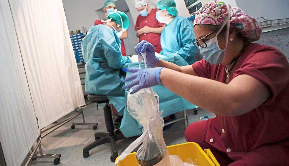 ABD'de-skandal-hata--Böbrek-nakli-yanlış-hastaya-yapıldı