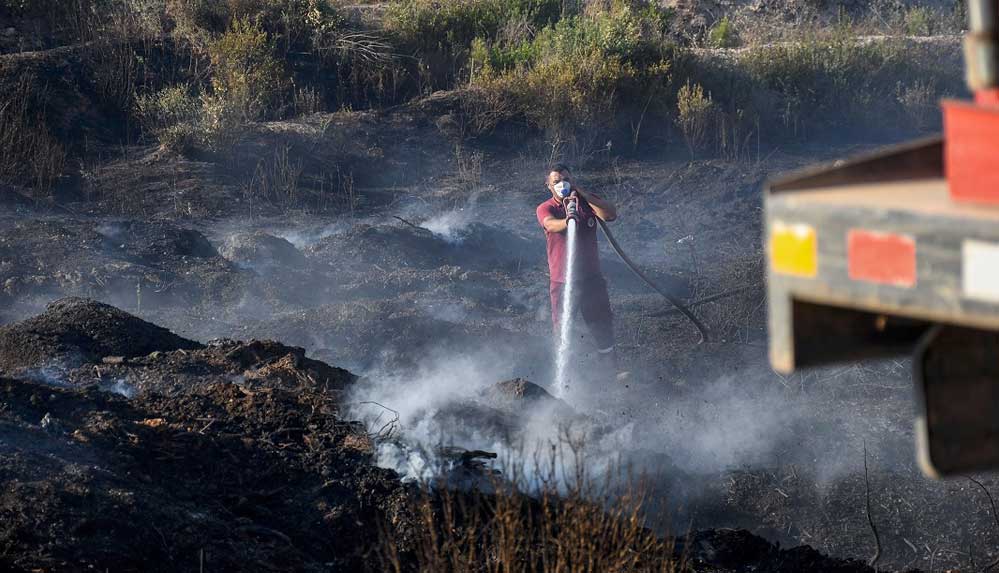 Adana'daki orman yangınında 2 sansar yavrusu orman işçileri tarafından kurtarıldı