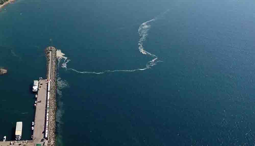 Bakan Kurum: Marmara'da müsilaj yok denecek kadar az, denize girilip balık yenebilir