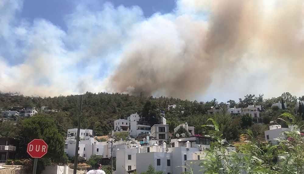 Bodrum'da makilik ve ormanlık alanda çıkan yangına müdahale ediliyor 4 Bodrum'da-makilik-ve-ormanlık-alanda-çıkan-yangına-müdahale-ediliyor