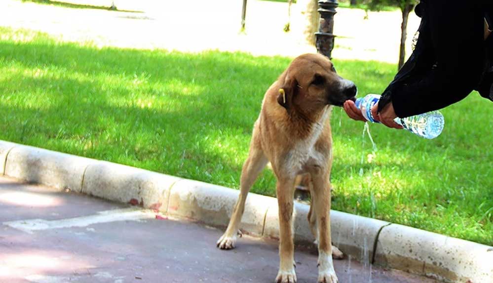 Doğu-Akdeniz'de-hava-sıcaklarının-4-8-derece-artması-bekleniyor