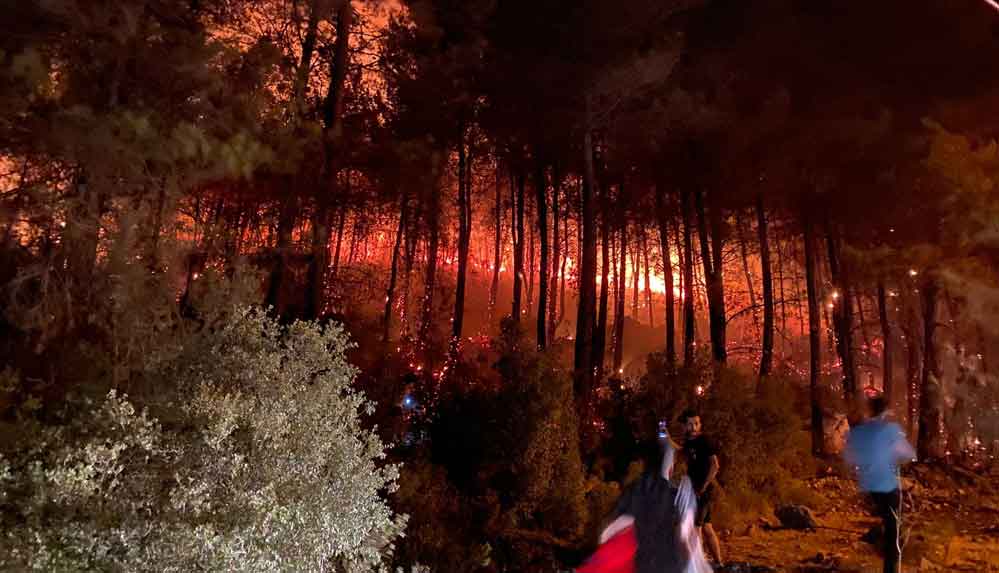 Fethiye'de orman yangını başladı