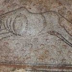 Gaziantep'te evin bahçesinde ortaya çıkan tarihi mozaikler müzeye taşınıyor 10 Gaziantep'te evin bahçesinde ortaya çıkan tarihi mozaikler müzeye taşınıyor